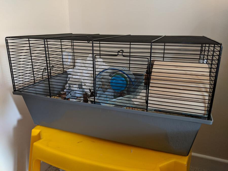 Richmond Hamster Cage