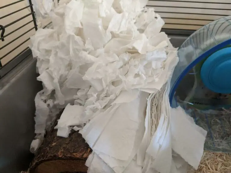 Can You Use Toilet Paper For Hamster Bedding?