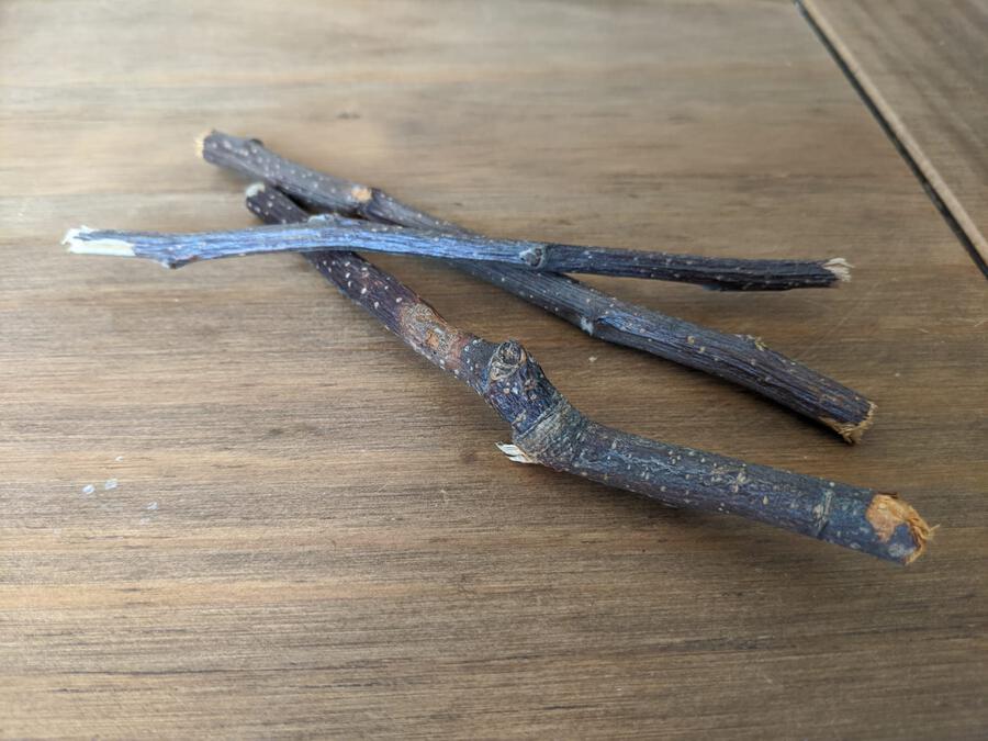 Apple Wood Chew Sticks