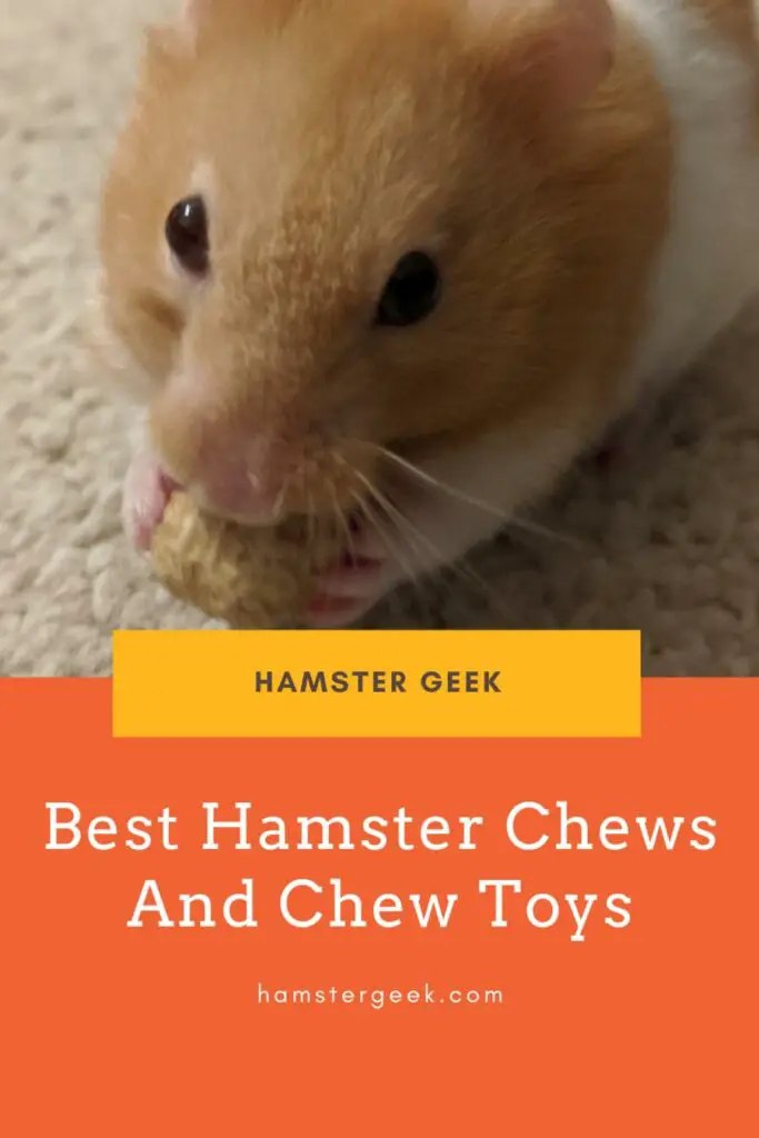 4 Best Hamster Chews And Chew Toys (Plus Cheap Everyday Alternatives